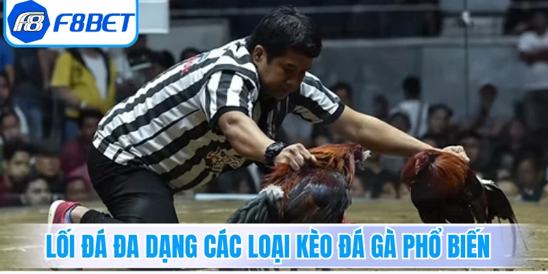 Lối đá đa dạng các loại kèo đá gà phổ biến